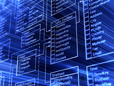 Data Dictionary Integration